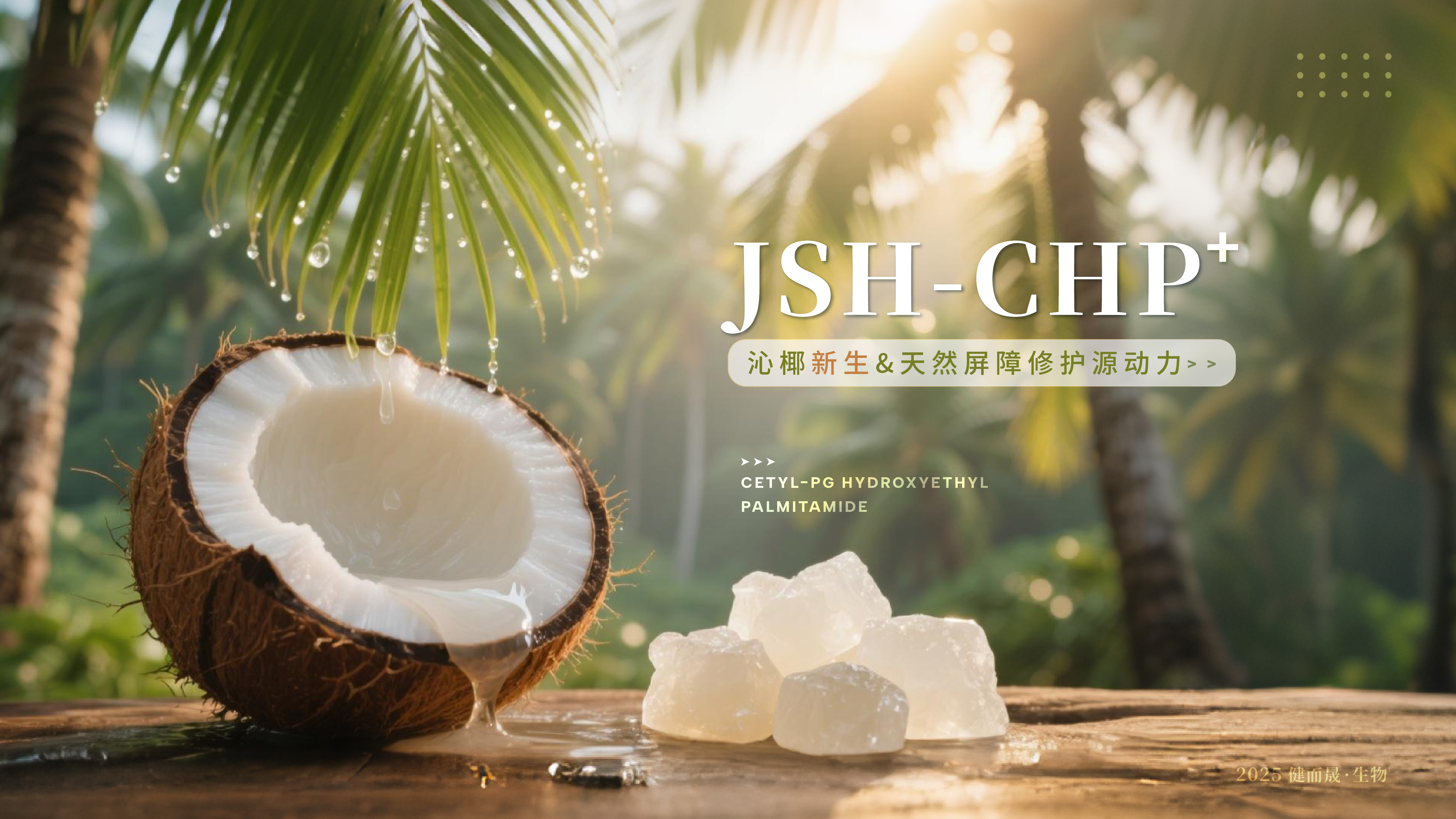 鯨蠟基-PG 羥乙基棕櫚酰胺