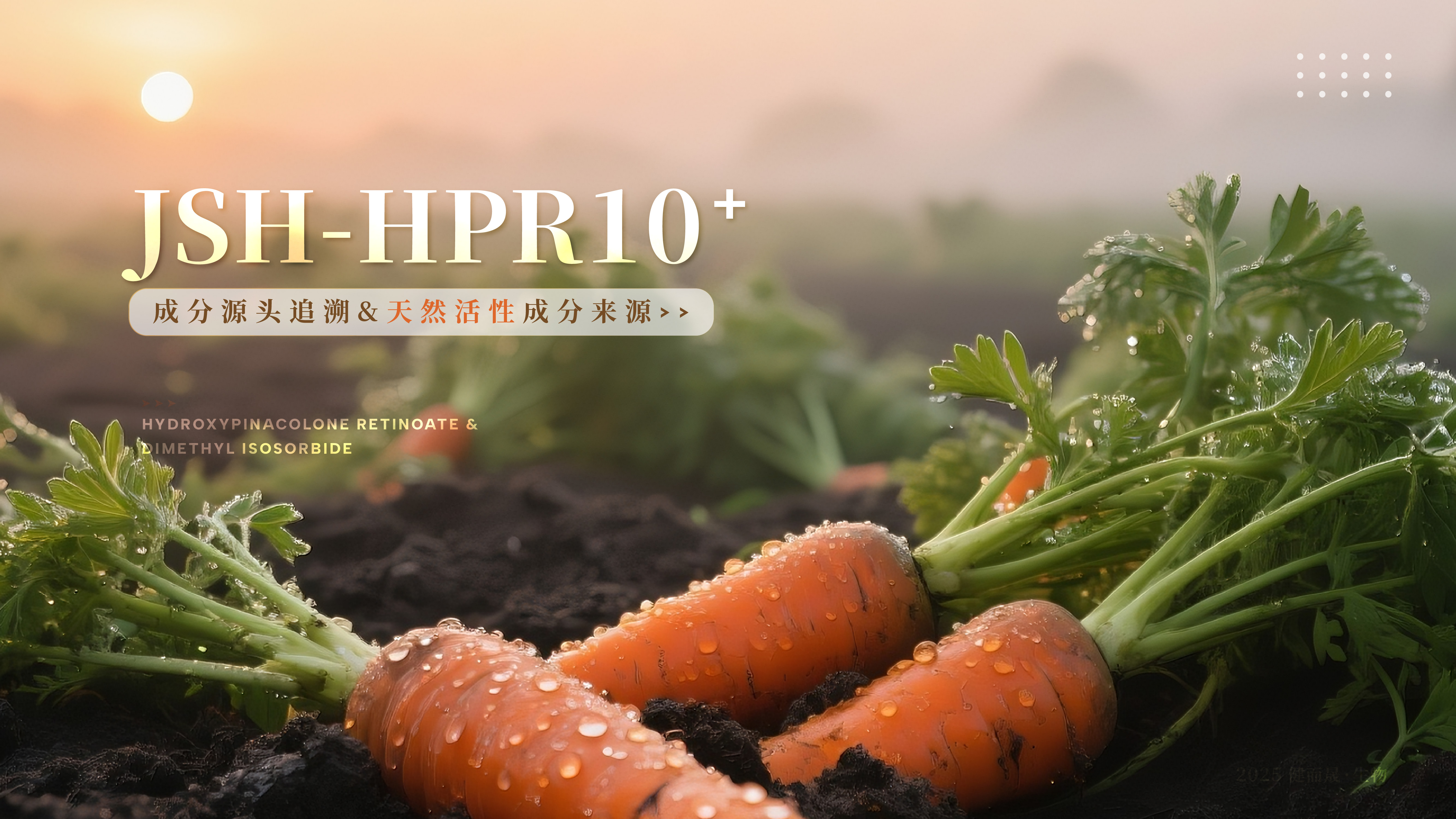 羥基頻哪酮視黃酸酯-HPR10